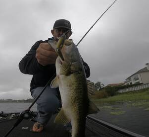 Bass Fishing getting better day by day w