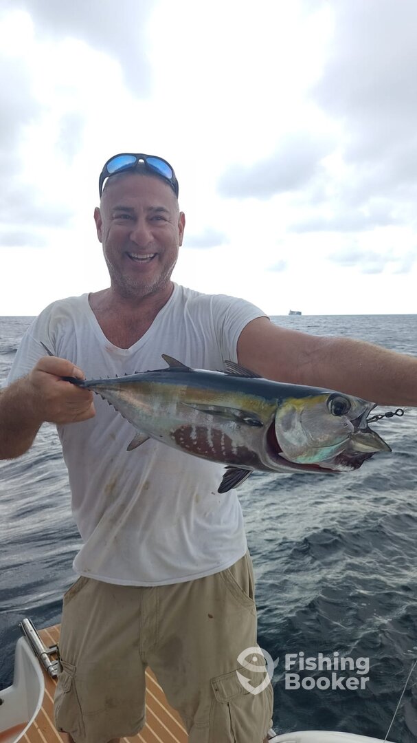 Cartagena Report Photo 0