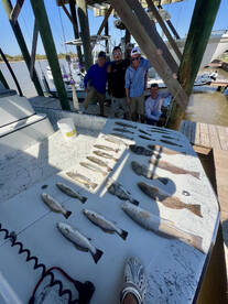 Matagorda Report Photo 1