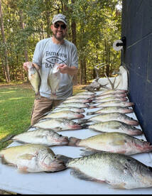 Crappie are shallow on Grenada!