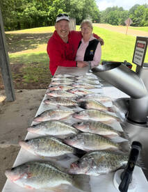 Trolling for limits of crappie on Grenad