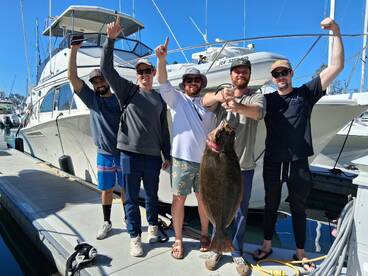 Dana Point Report Photo 2