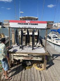 Laguna Madre Report Photo 1