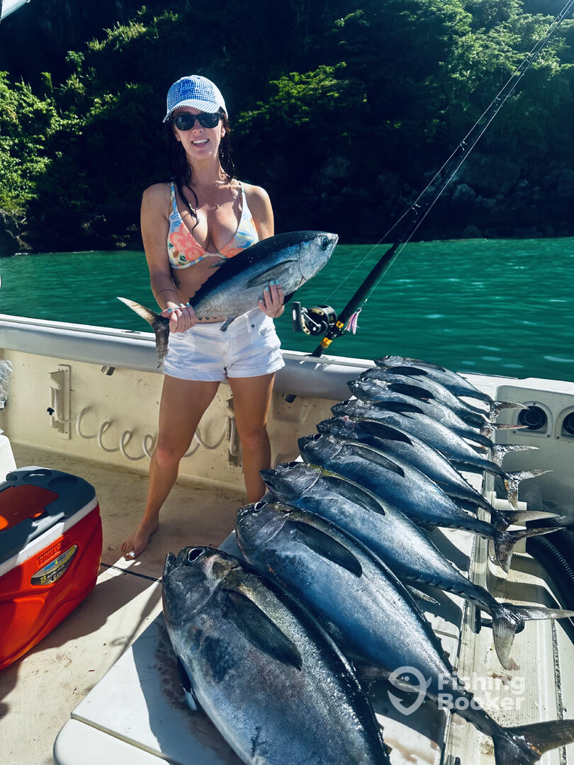 Aguadilla Report Photo 0