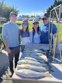 Northern California Report Photo 1