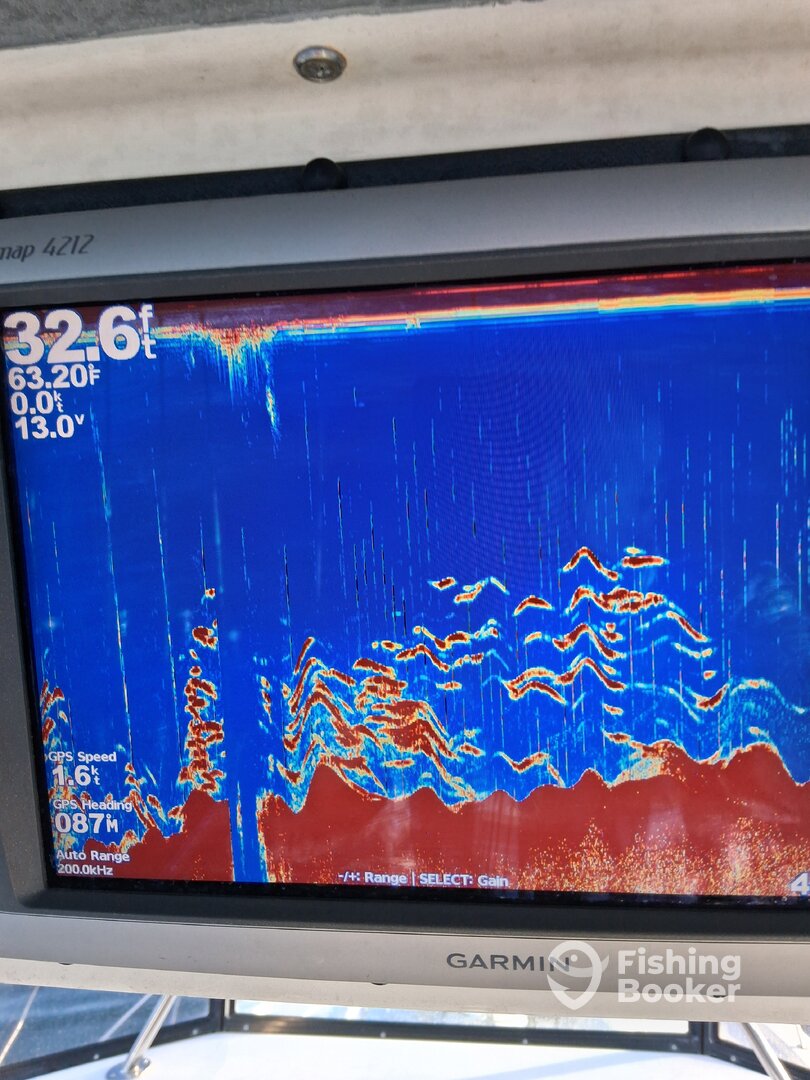 Dana Point Report Photo 0