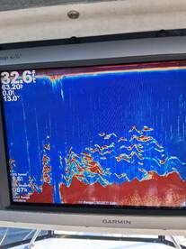 Pacific Coast Report Photo 2