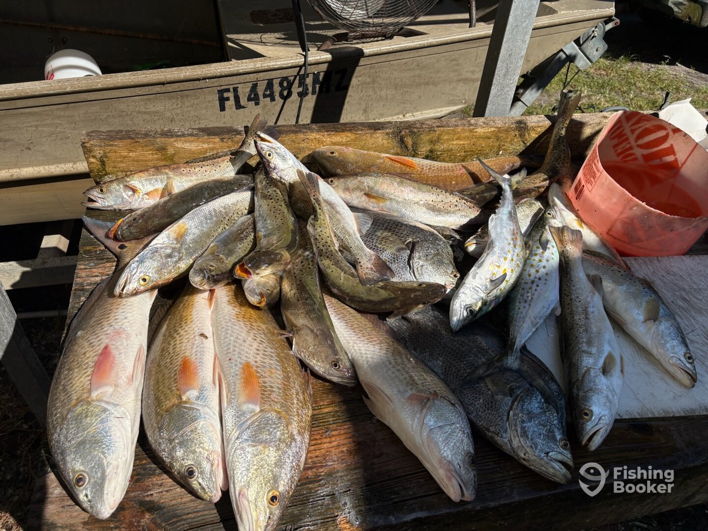 Apalachicola Report Photo 0