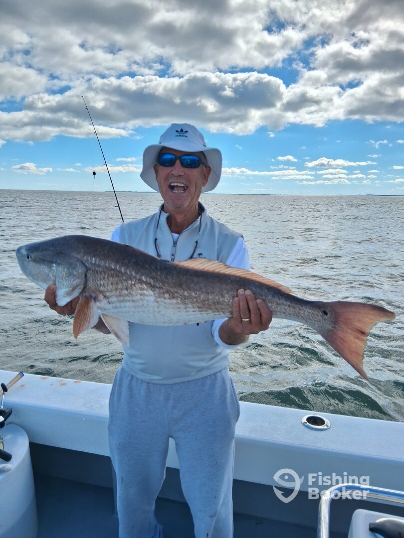 Hilton Head Island Report Photo 0