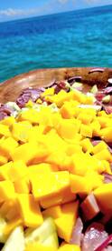 Playa Del Carmen Report Photo 2