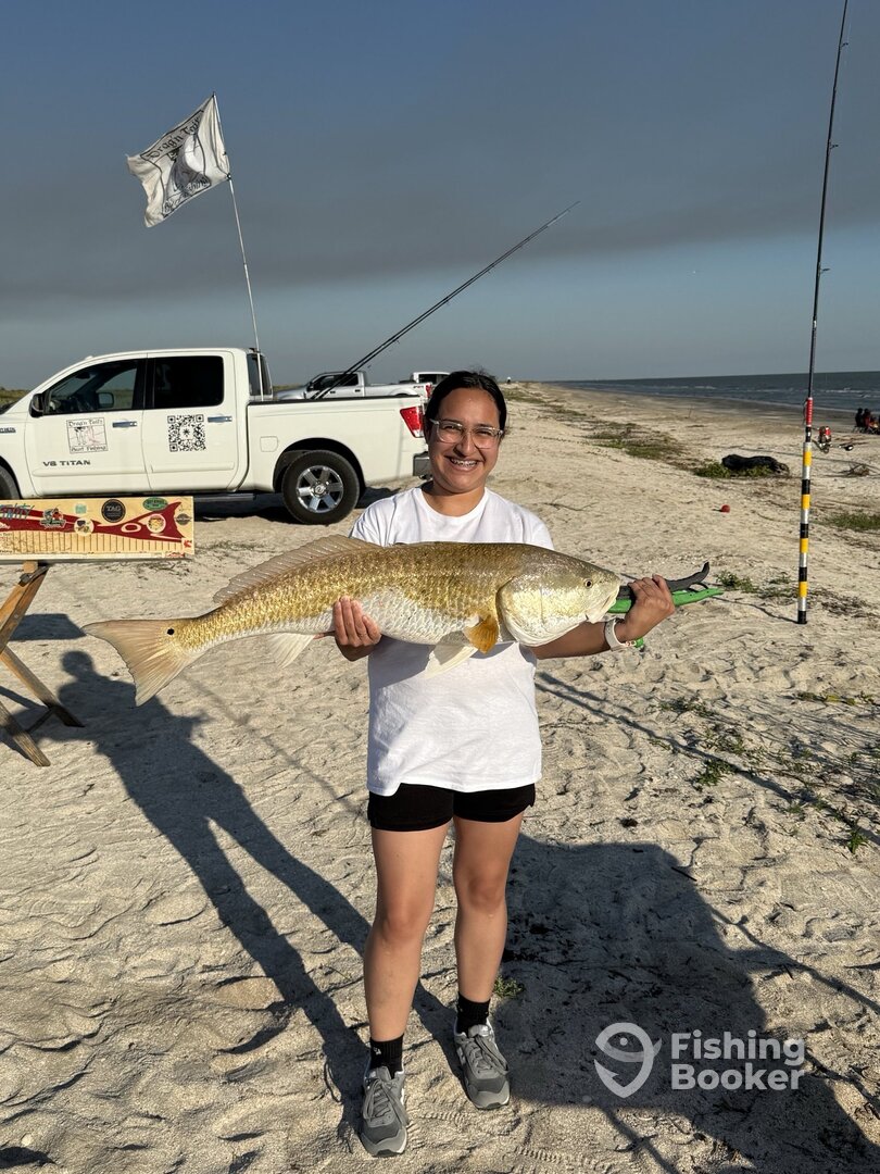 Creole Report Photo 0