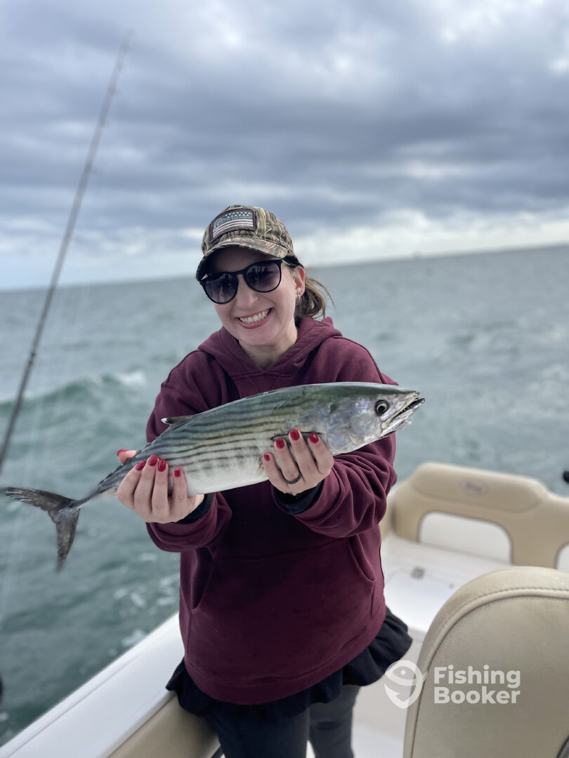 Connecticut Report Photo 0