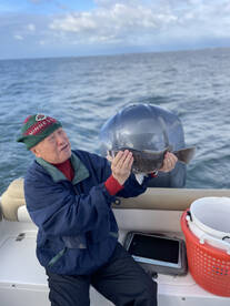 Clinton Report Photo 1