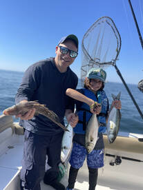 Clinton Report Photo 3