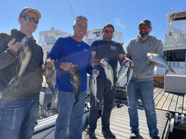 Clinton Report Photo 4