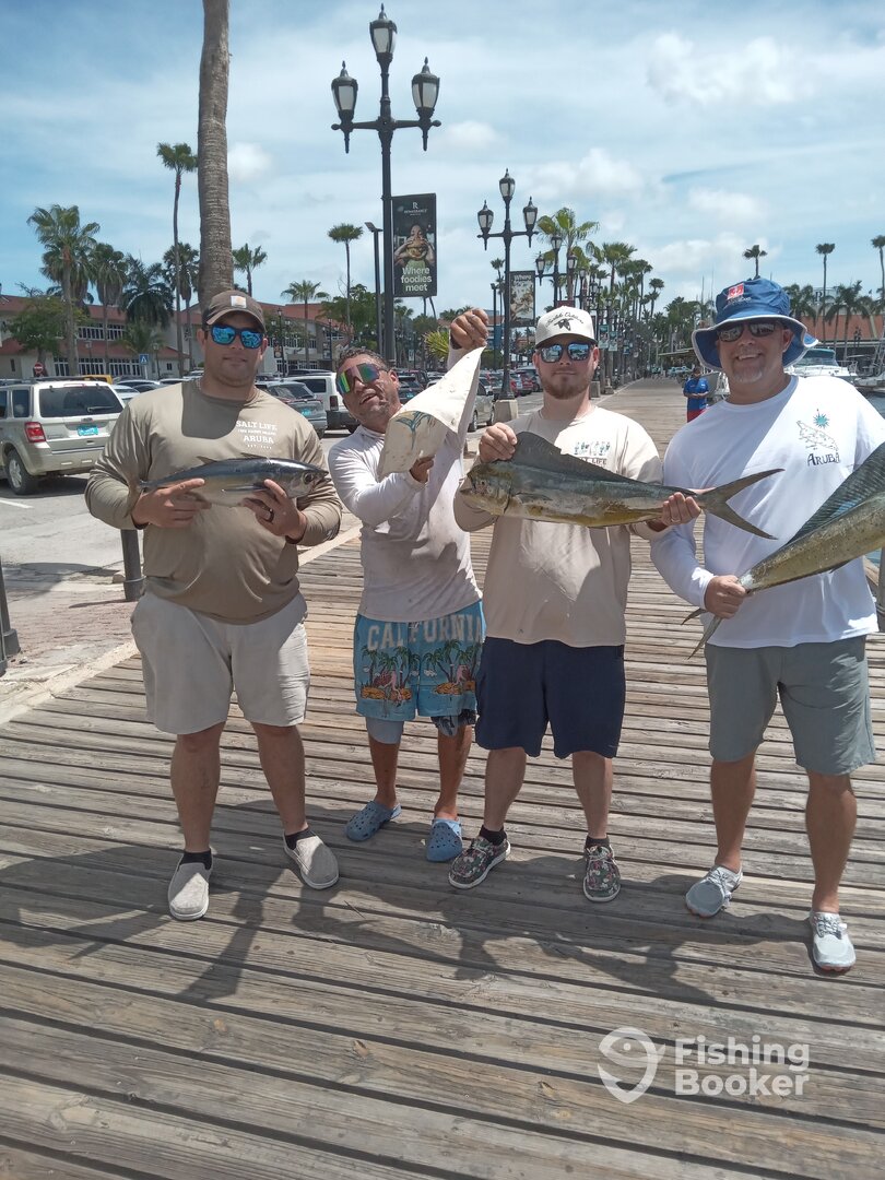 Aruba Report Photo 0