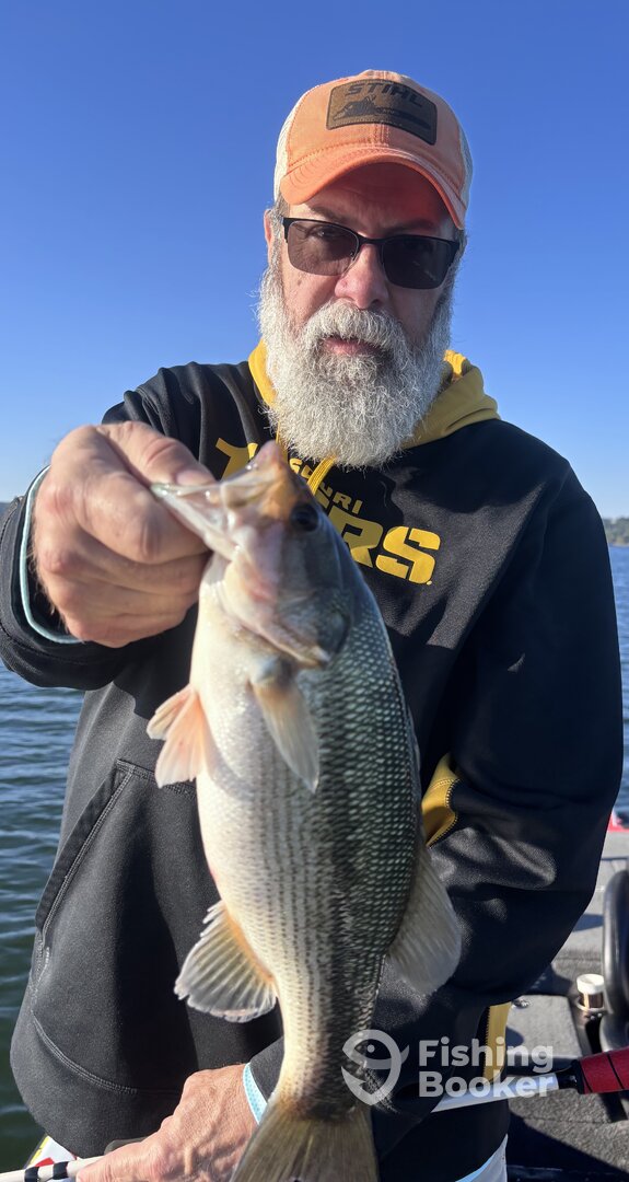 Branson Report Photo 0