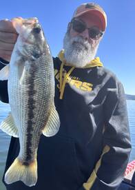 Branson Report Photo 2