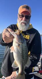 Crazy Good Morning on Table Rock!