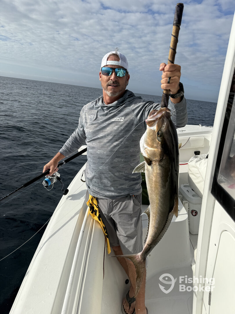 Niceville Report Photo 0