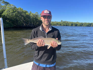Marco Island Report Photo 1