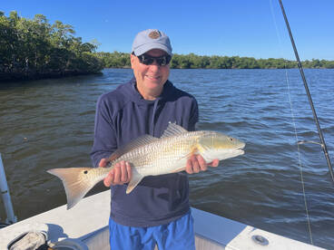Snook, redfish and goliath grouper