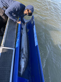 Harrison Lake Report Photo 1