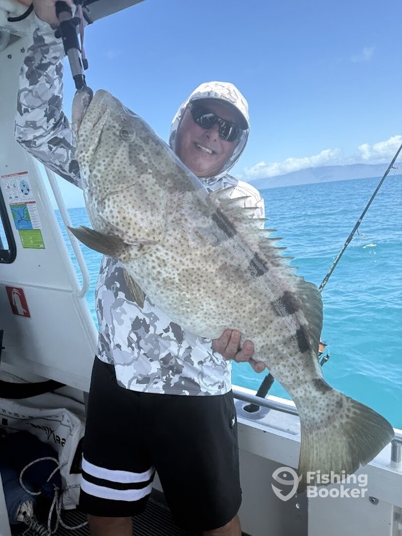 Port Douglas Report Photo 0