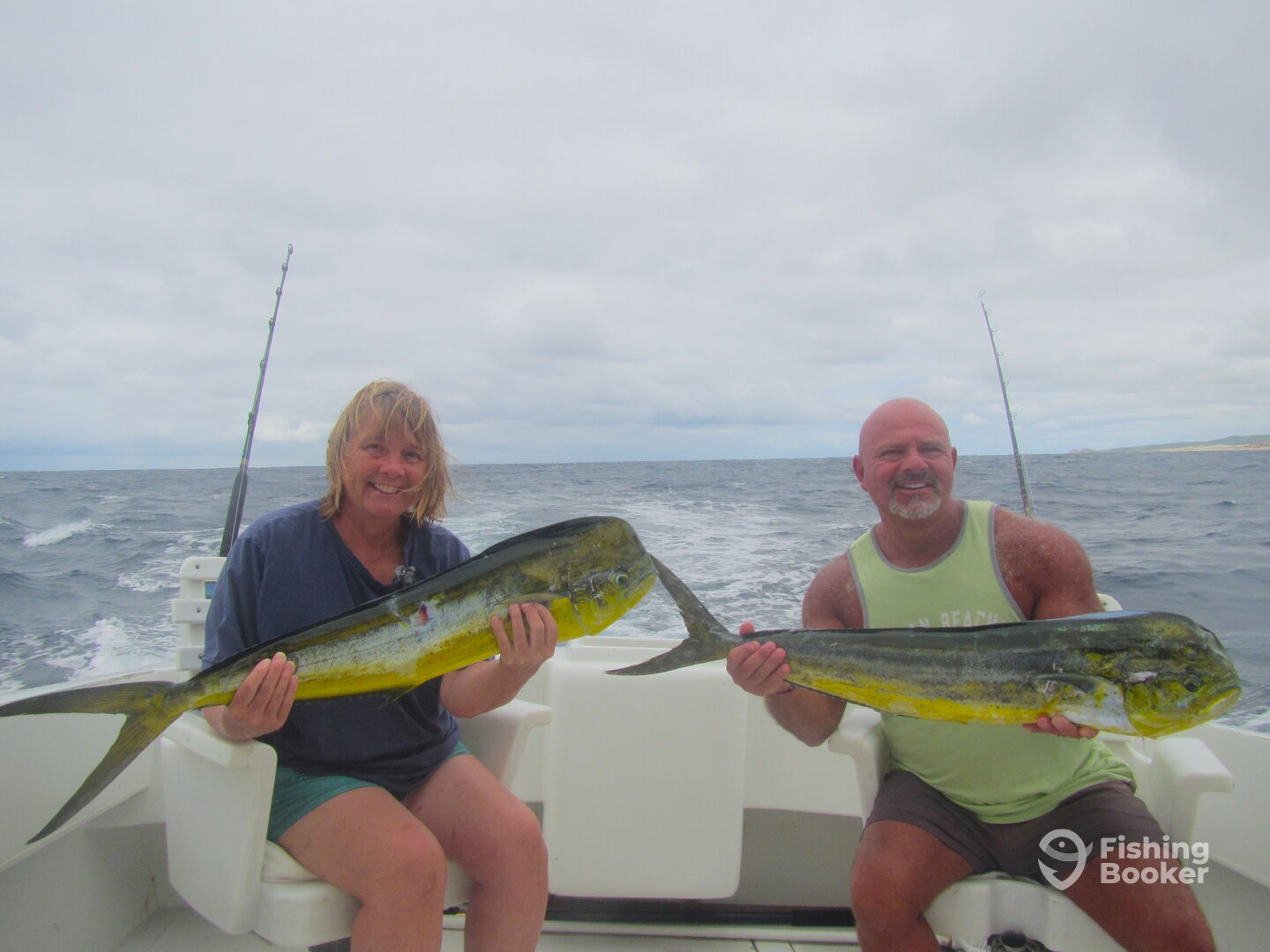 Cabo San Lucas Report Photo 0