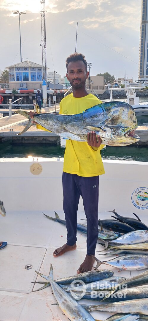 Fujairah Report Photo 0