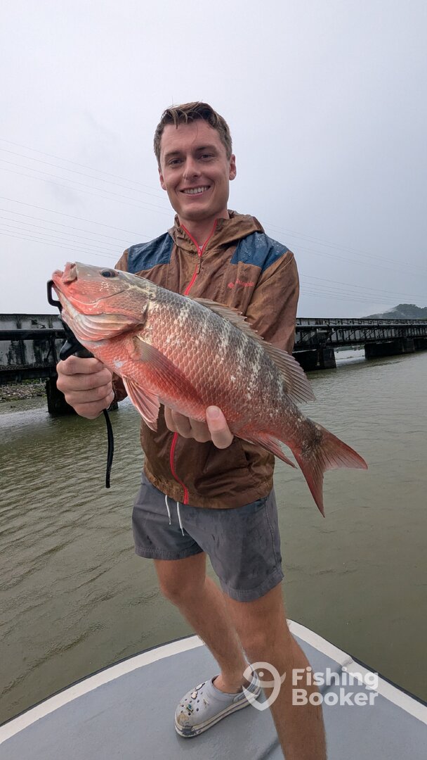 Panama Report Photo 0