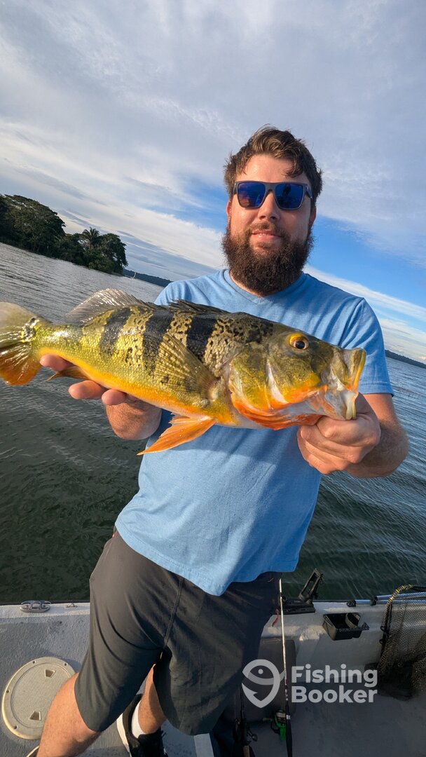 Gamboa Report Photo 0