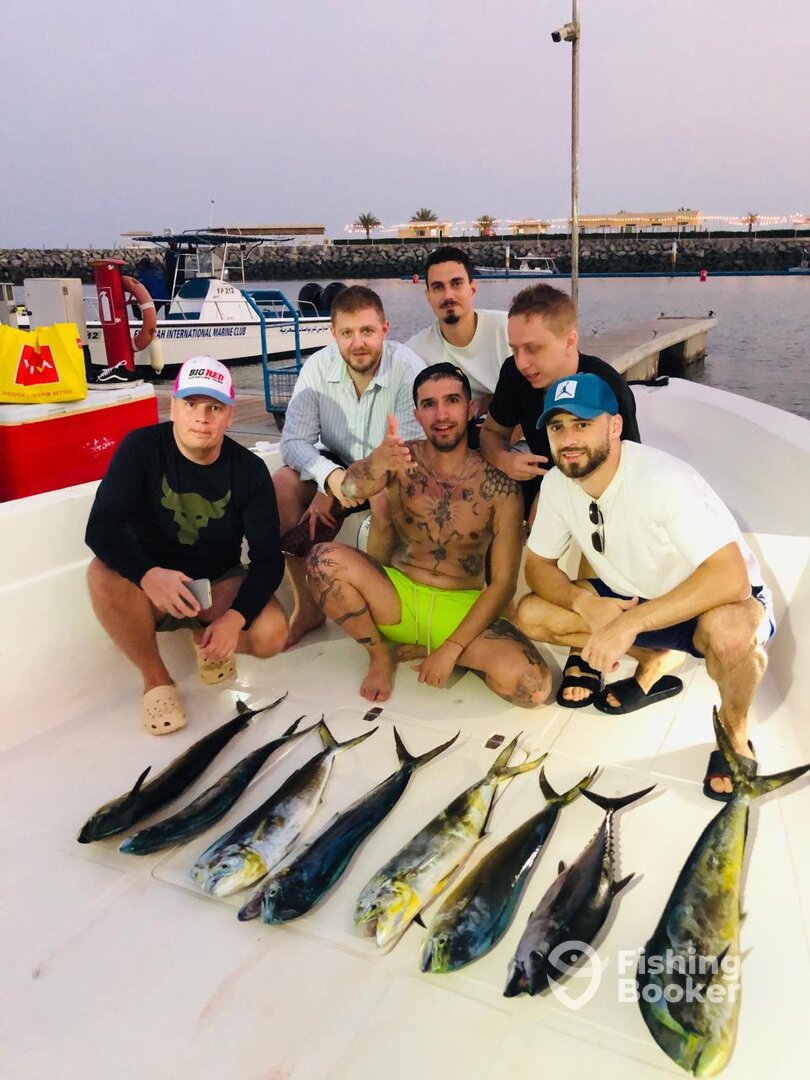 Fujairah Report Photo 0