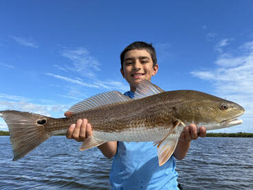Titusville Report Photo 1