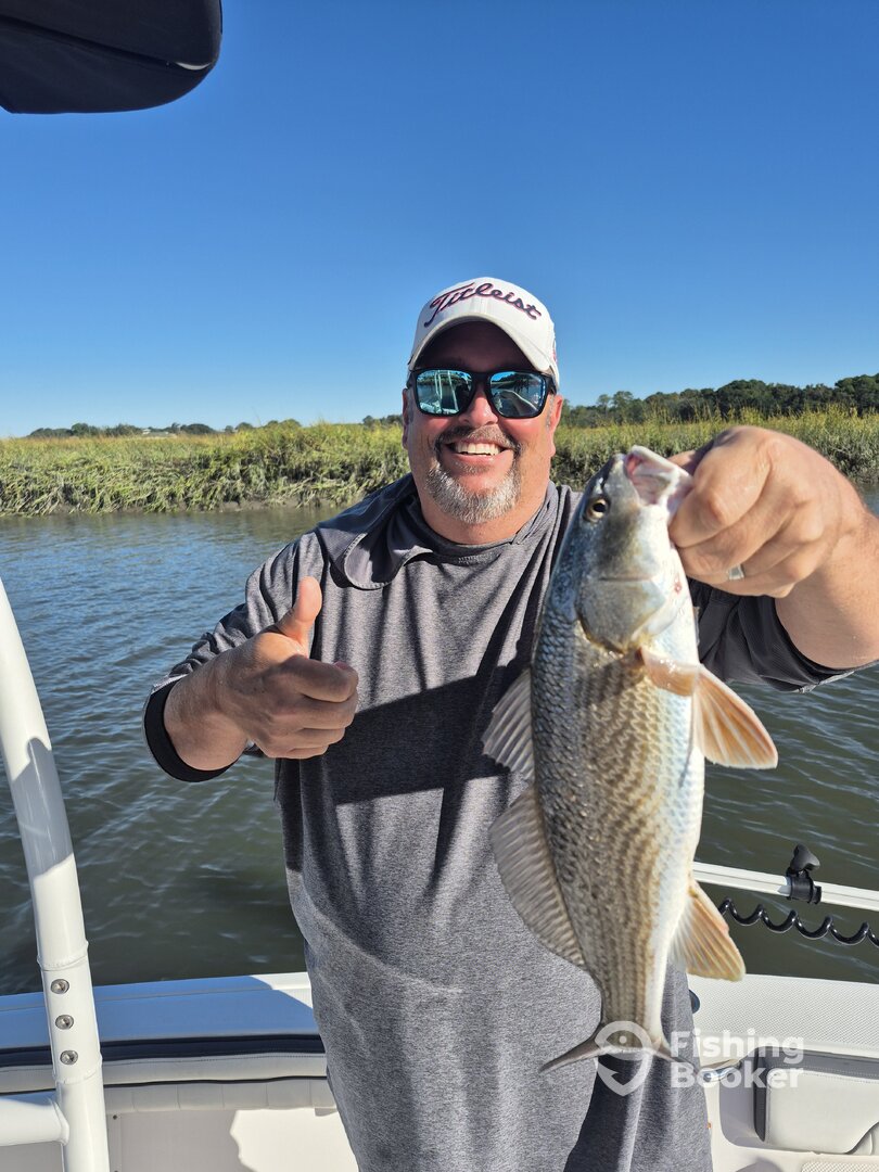 South Carolina Report Photo 0