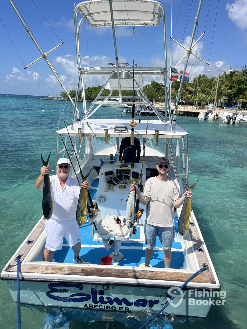 Dominicus Report Photo 0