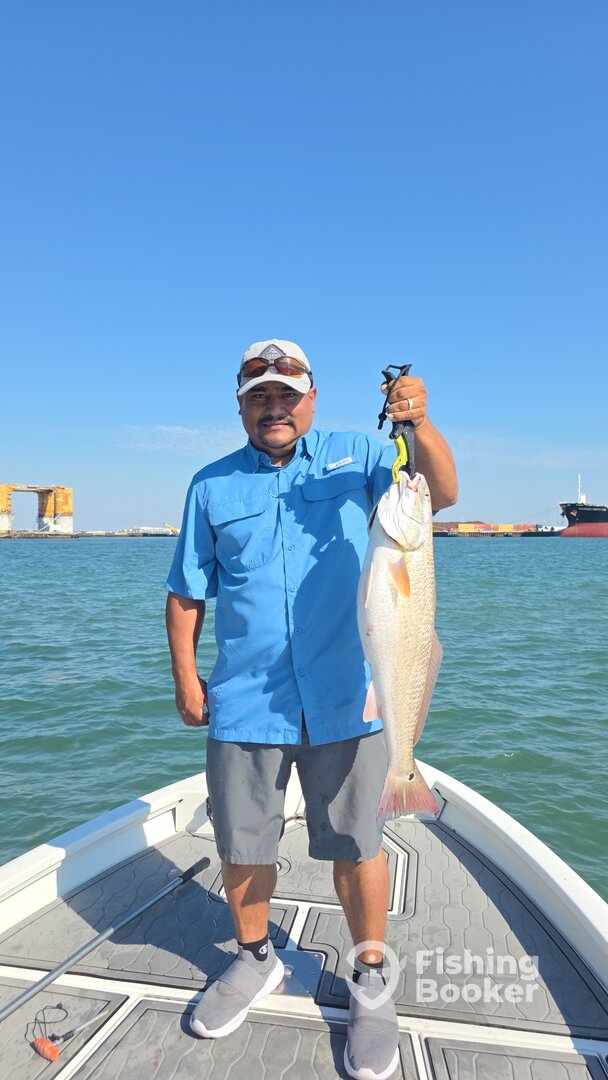 Texas Report Photo 0
