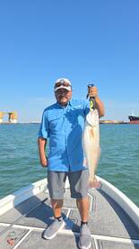 Port Aransas Report Photo 2