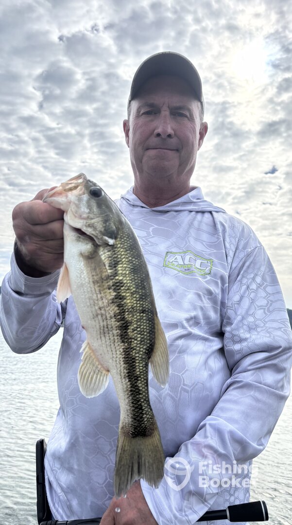 Branson Report Photo 0