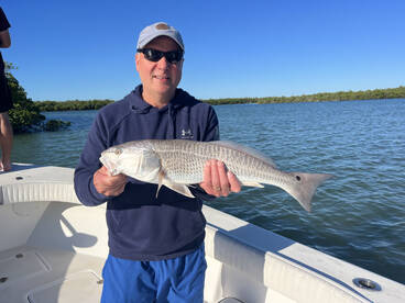 Marco Island Report Photo 2