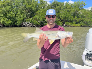 Marco Island Report Photo 1