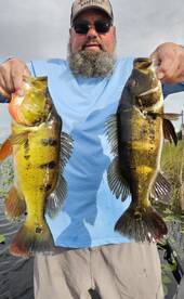 Sun up too Sunset  Basswhisper never giv