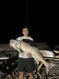 Big bites from morning to night!