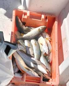 Lisbon District Report Photo 1