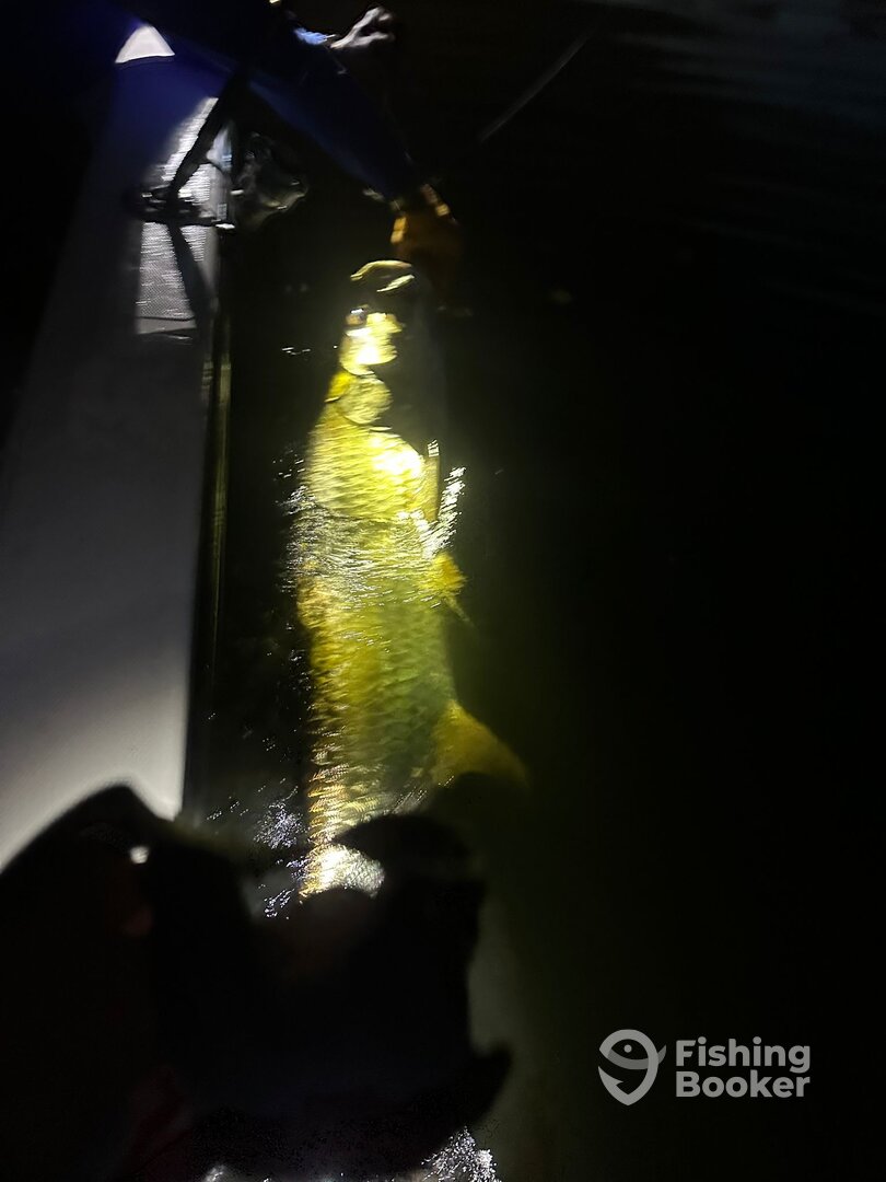 San Juan Report Photo 0