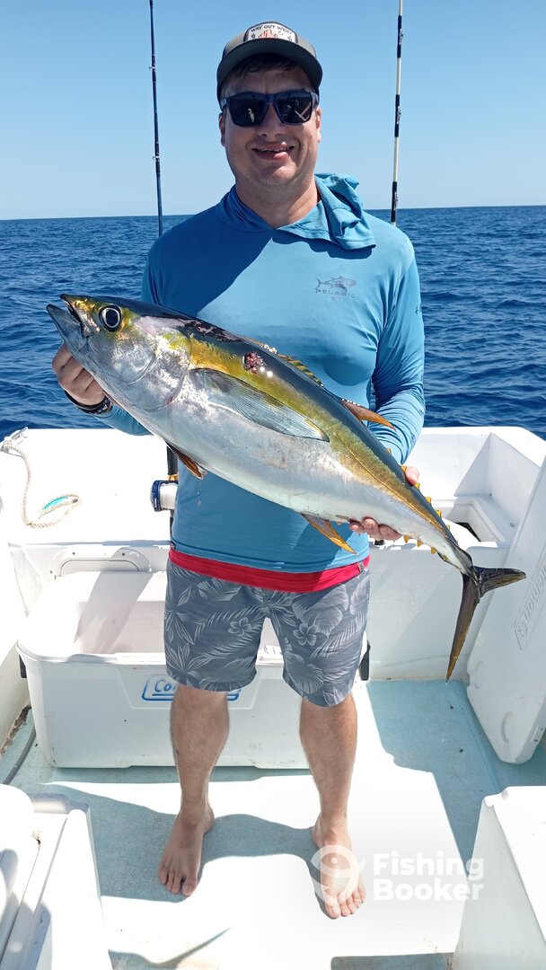 San Jose del Cabo Report Photo 0