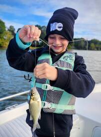 Nice Perch