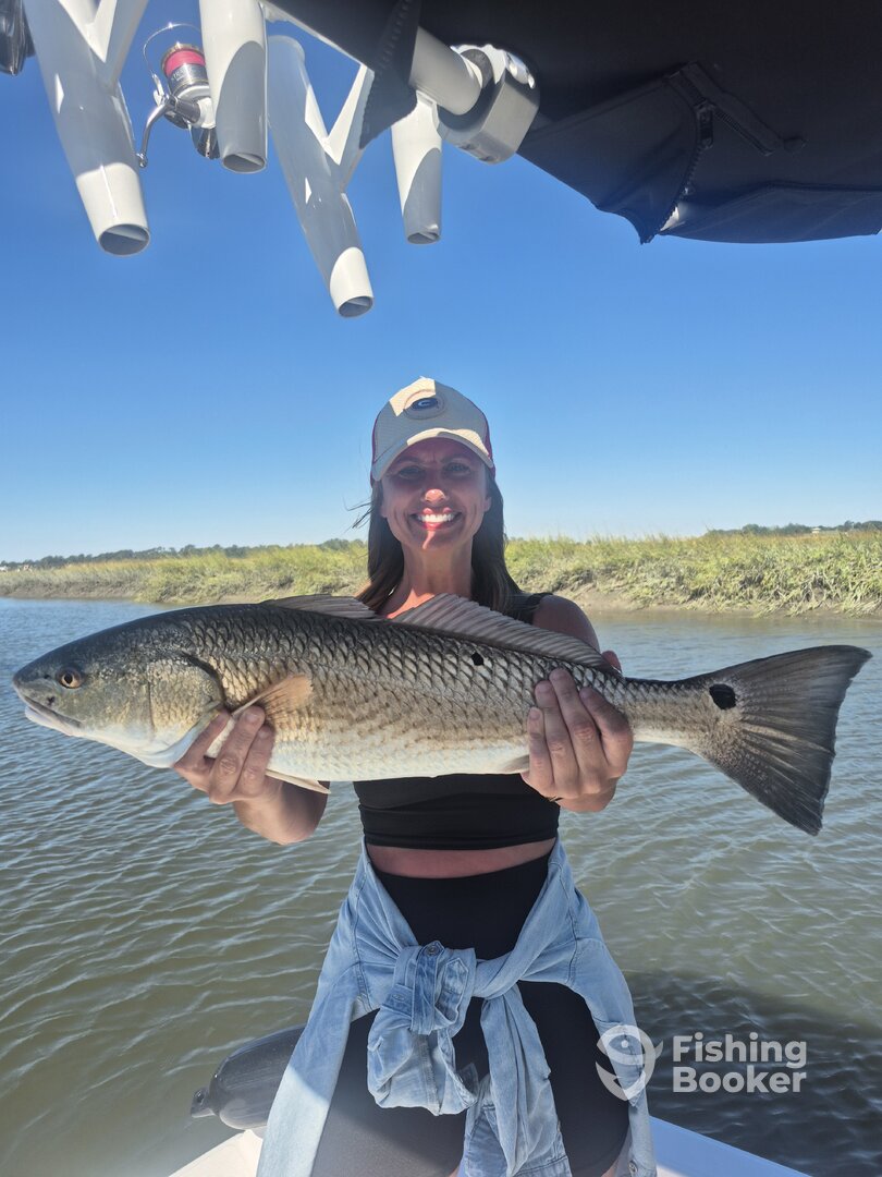 Hilton Head Island Report Photo 0