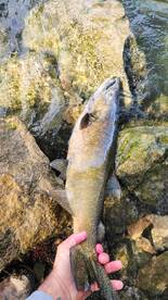 Niagara Falls Report Photo 4