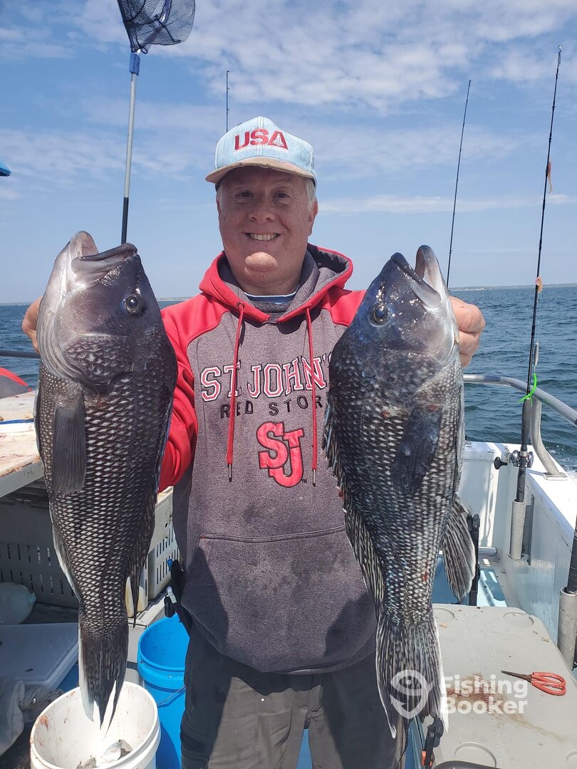 Buzzards Bay Report Photo 0